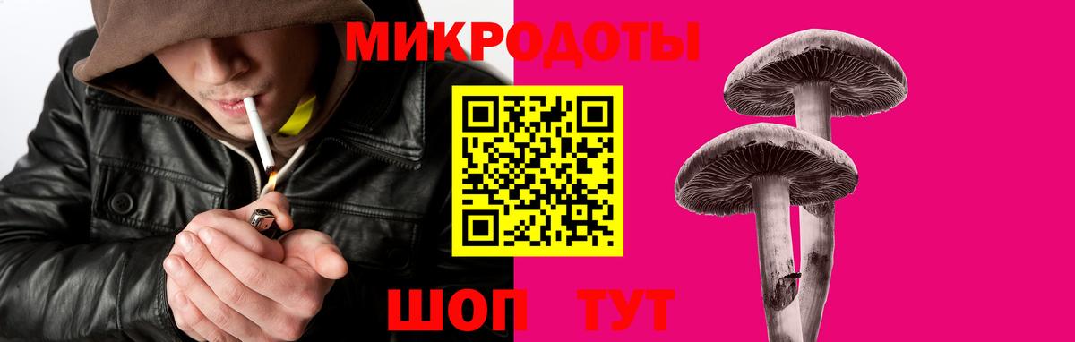 Псилоцибиновые грибы Cubensis Люберцы